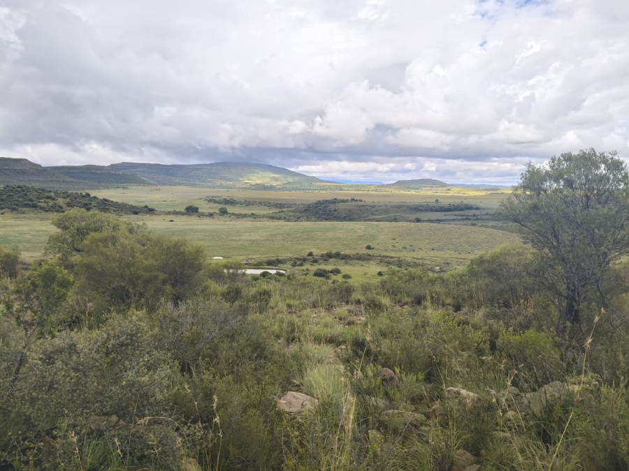 0 Bedroom Property for Sale in Jamestown Eastern Cape